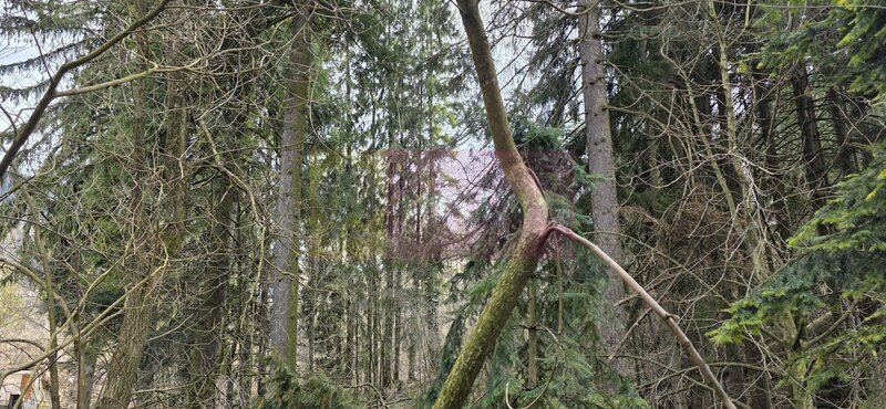 Etaj vila istorica de vanzare in Sinaia – Zona Furnica